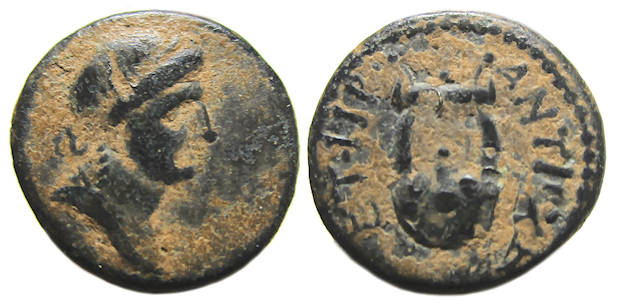 Antioch ad Orontem Syria Ae : Apollo / Lyre