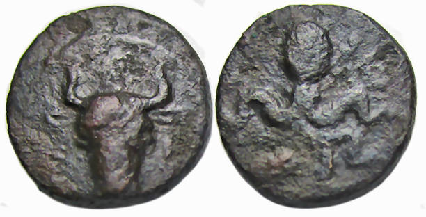 Euboia, Euboian League Ae : Head of Bull / Octopus