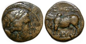 Seleukos II Kallinikos, Seleucid King : Ae : Zebu Bull