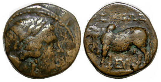 Seleukos II Kallinikos, Seleucid King : Ae : Zebu Bull