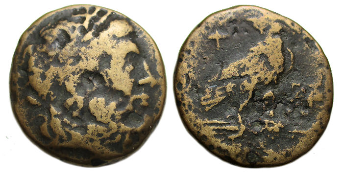 Paroreia Macedonia Ae: Bust of Zeus / Eagle Standing